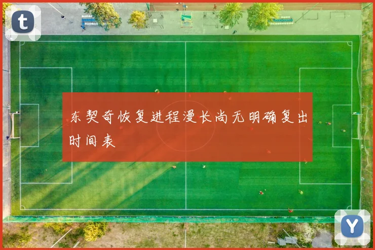 东契奇恢复进程漫长尚无明确复出时间表