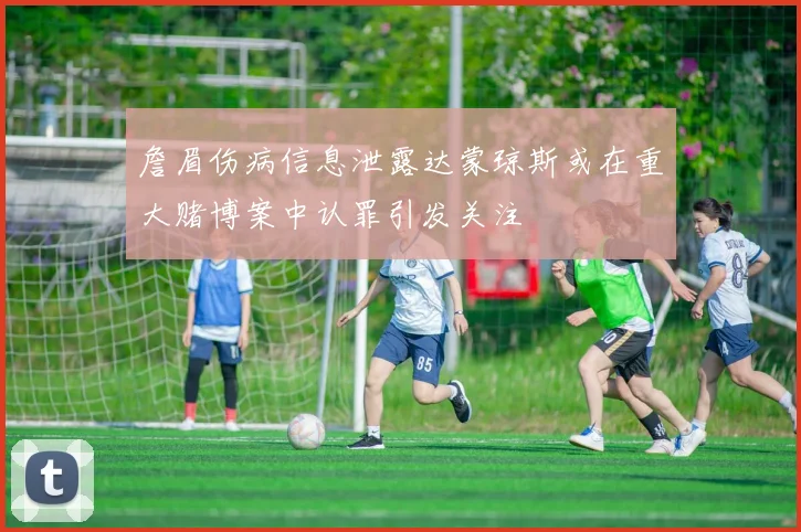 詹眉伤病信息泄露达蒙琼斯或在重大赌博案中认罪引发关注